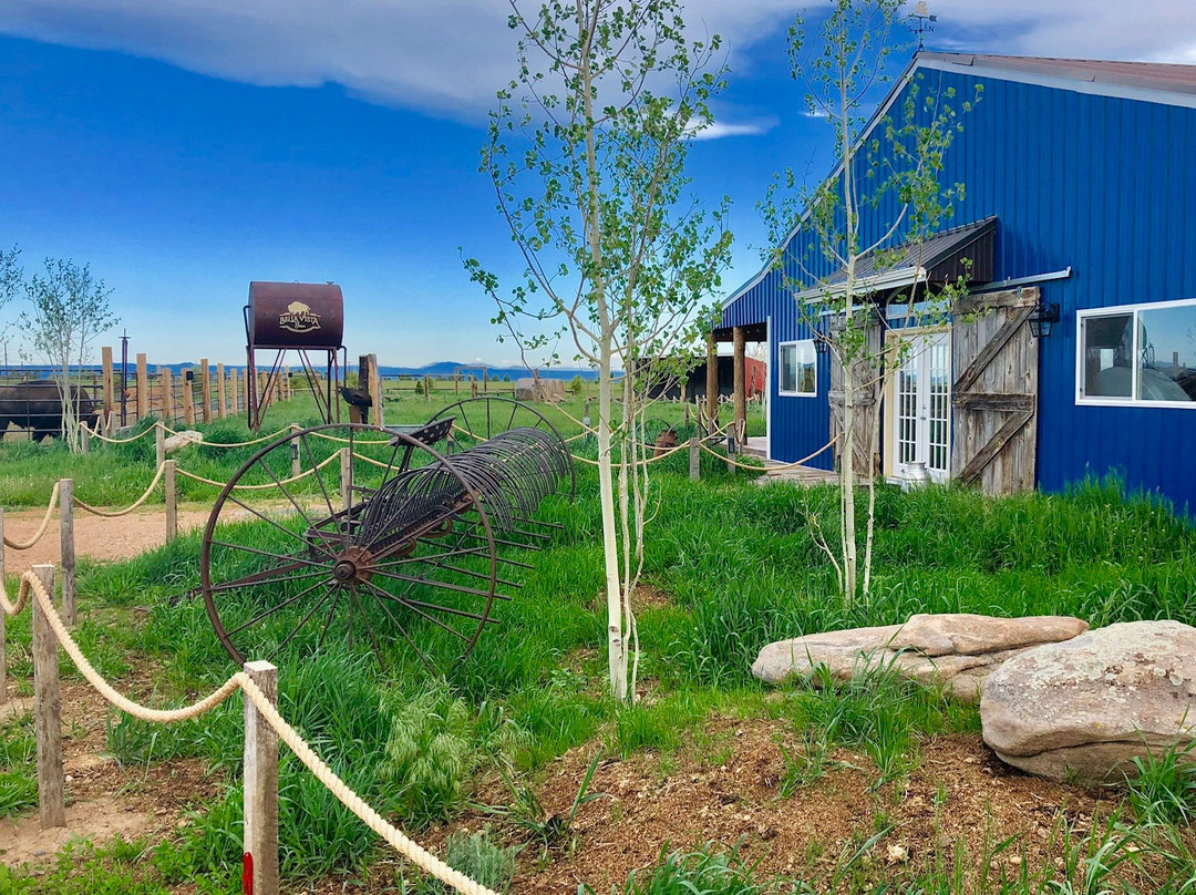 Kiowa旅游景点-Bella Vista Bison