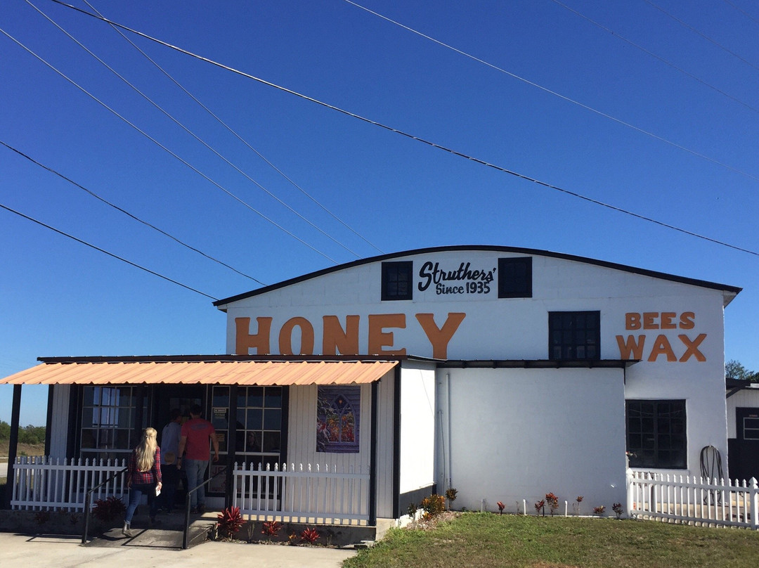 Struthers' Honey-莱克威尔士必去景点