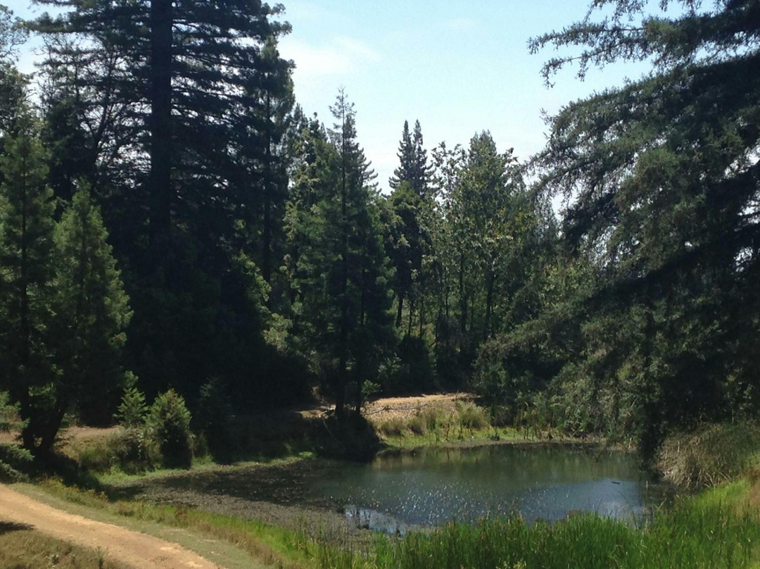 Mt Madonna Stables-沃森维尔必去景点