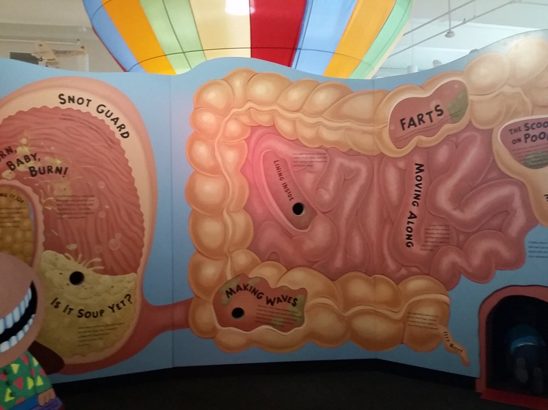 The Children's Museum of Green Bay