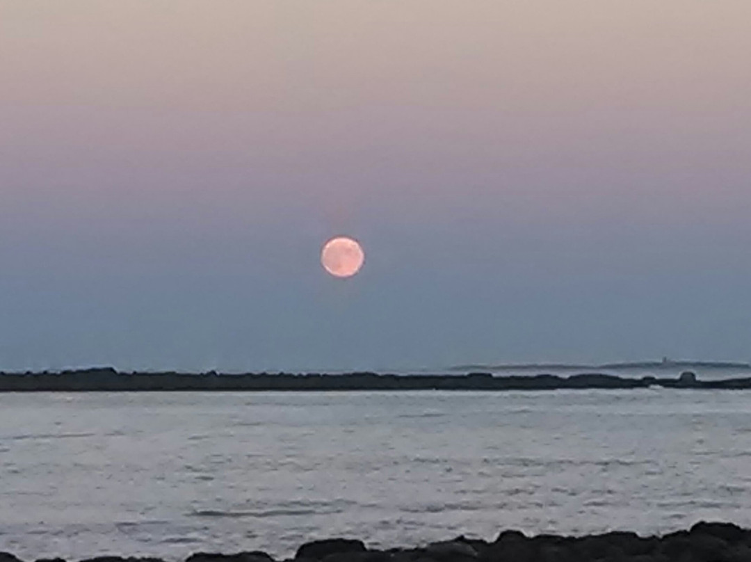 Little Boar's Head Seaside Trail-North Hampton必去景点