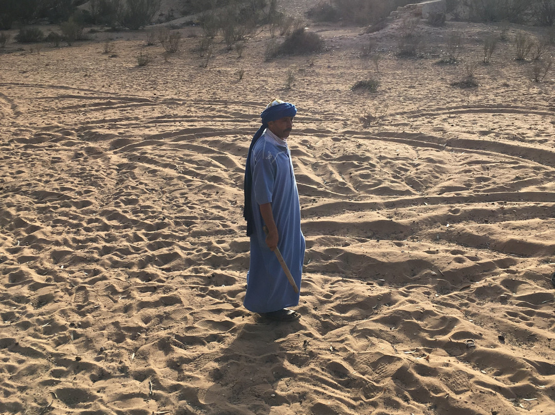 Agadir Horse & Camel-Taghazout必去景点