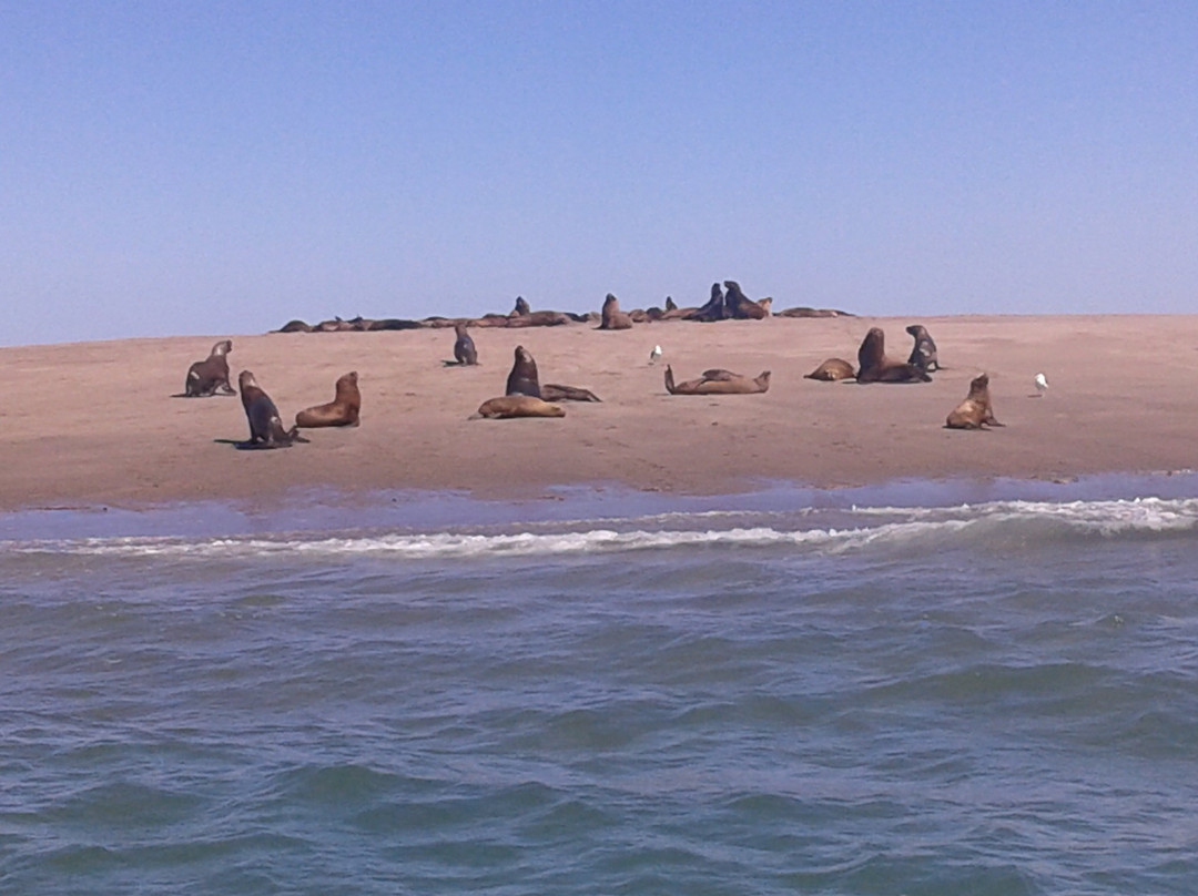 Rupestre Experiencia Patagonica