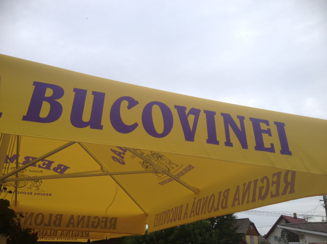 Perla Bucovinei主图