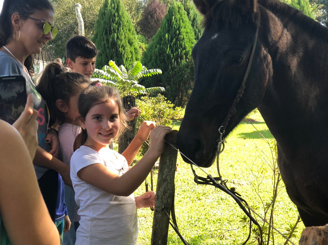 Fazenda Tropeiro Camponez主图