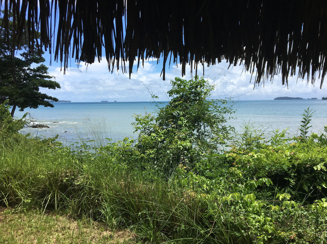 Selva Terra Island Resort主图