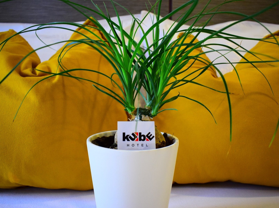Hotel Kube主图