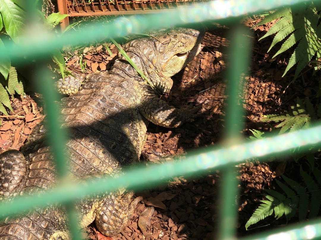 Bio Centro Iguazu景点图片