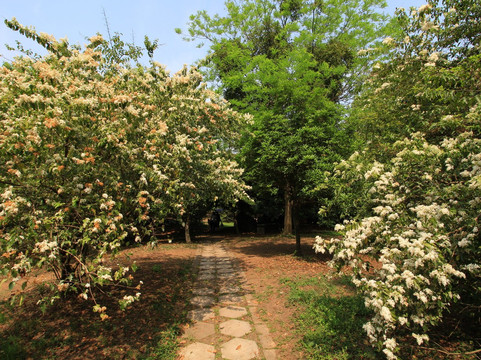 成都植物园-成都必去景点