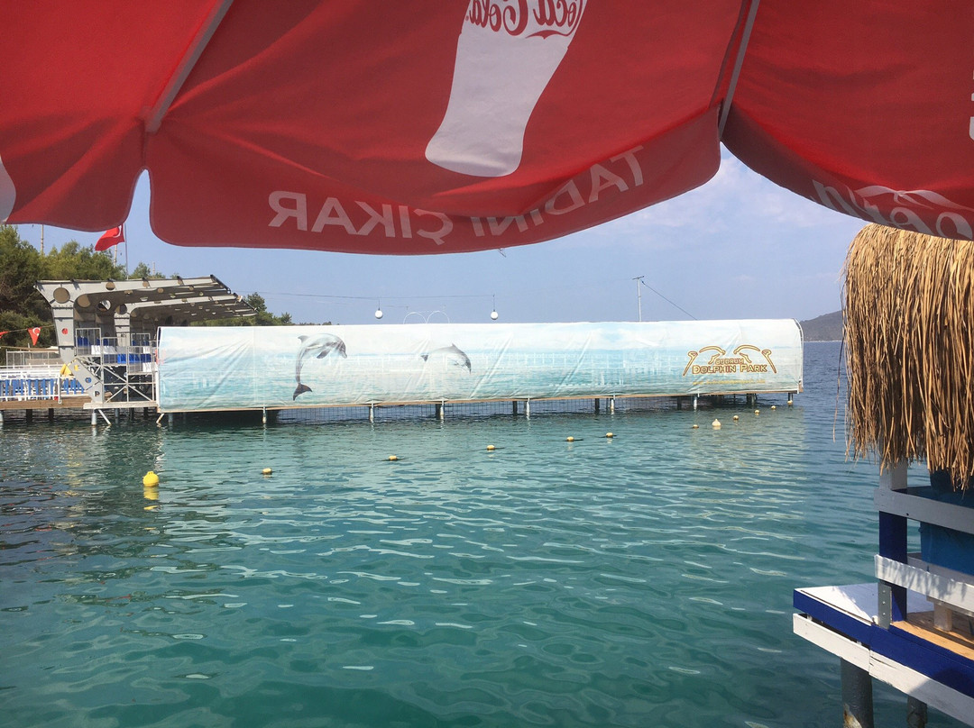 Bodrum Dolphin Park - Yunus Gösteri Merkezi景点图片