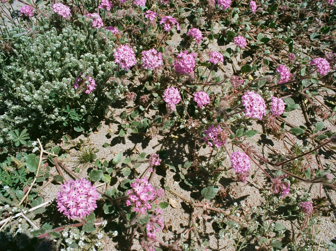Hellhole Canyon Trail-波瑞戈泉必去景点