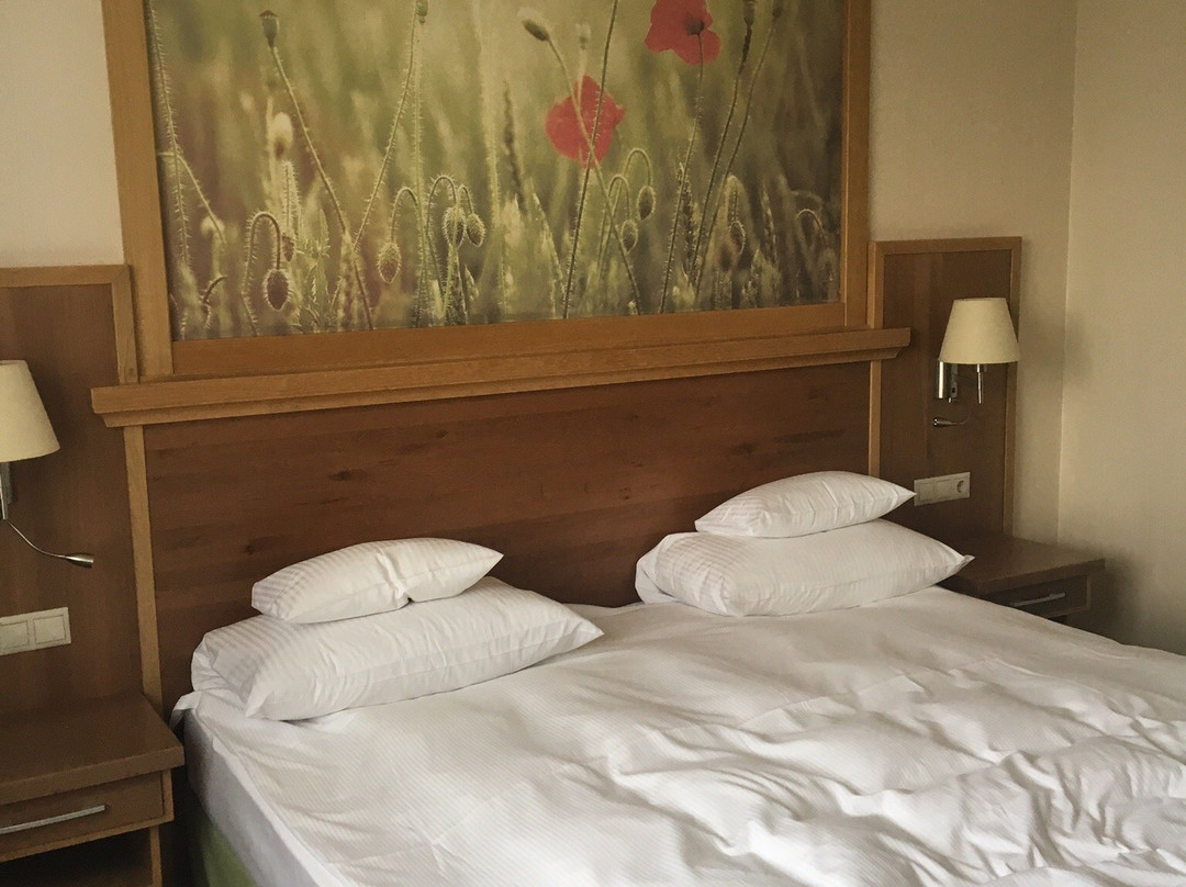 Hotel Sonnenhof主图