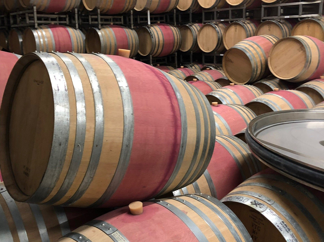 A Great Oregon Wine Tour-波特兰必去景点