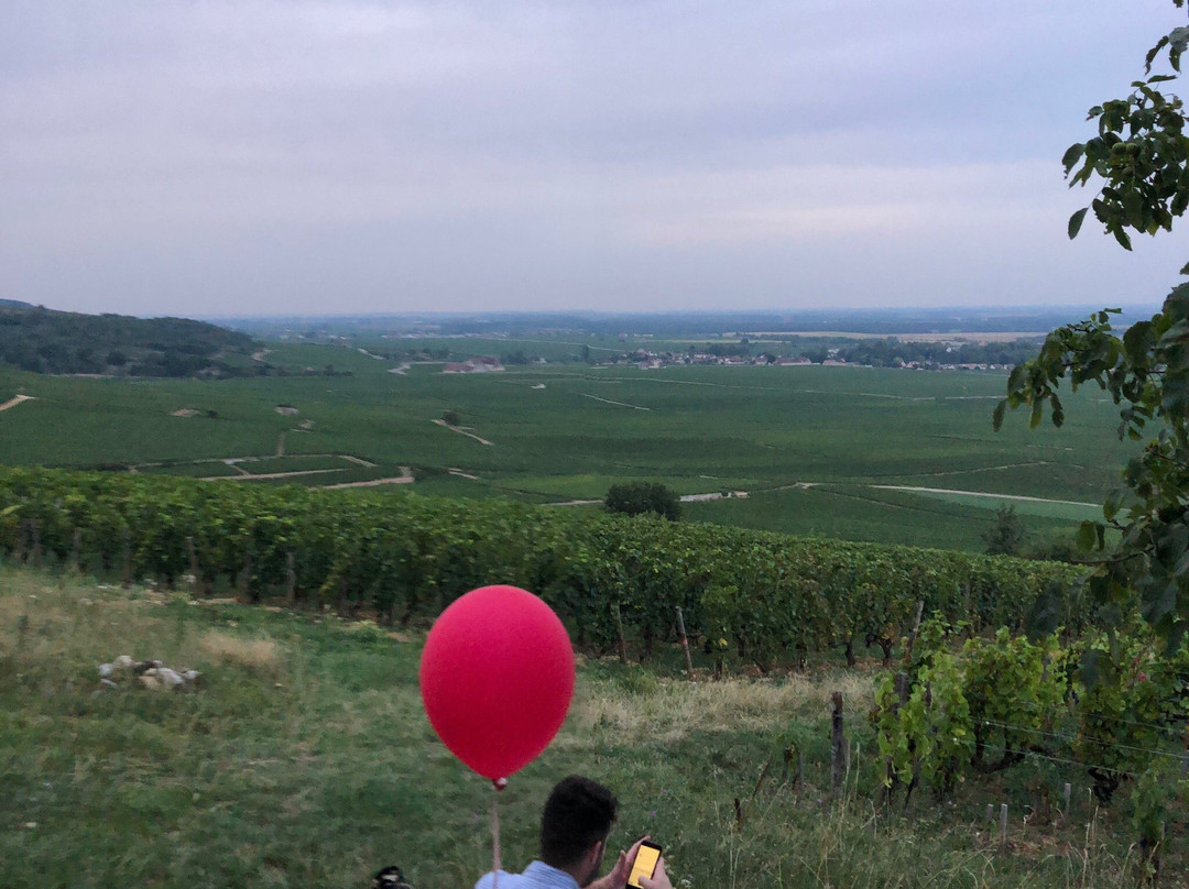 A Burgundy Proposal景点图片