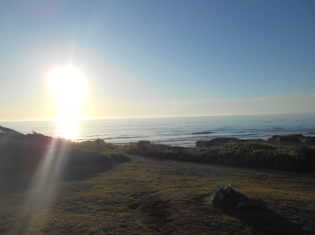 Fireside Motel主图