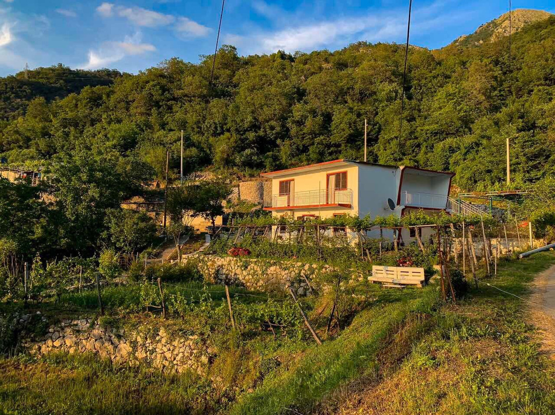 Wine tasting - Winery DSM Pejanovic-Limljani必去景点