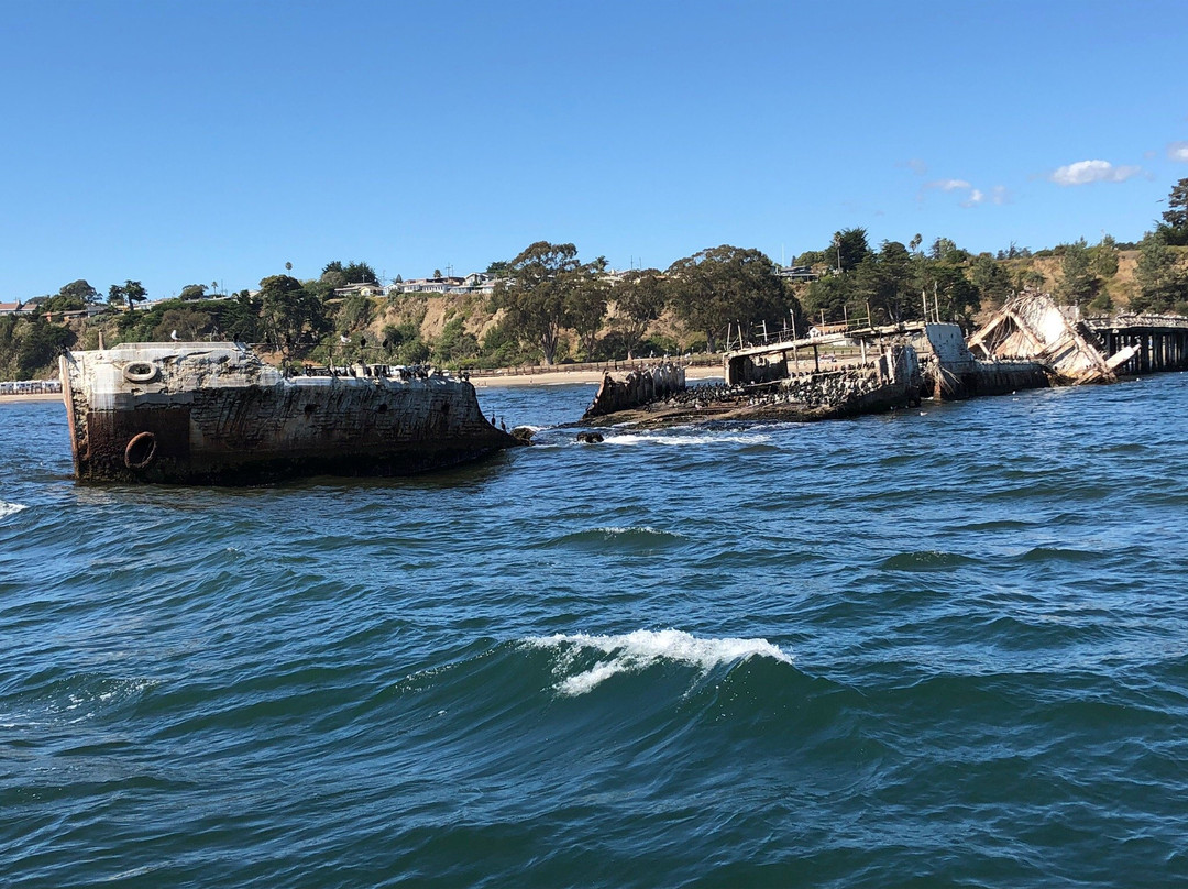 Sea Spirit Ocean Safari (formerly)-圣克鲁斯必去景点