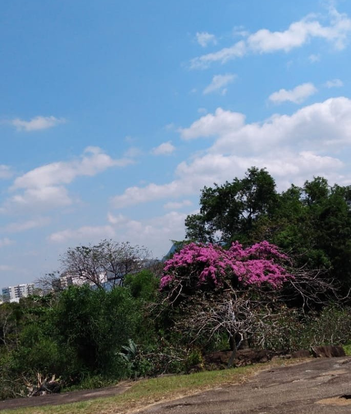 Parque Pedra da Cebola景点图片
