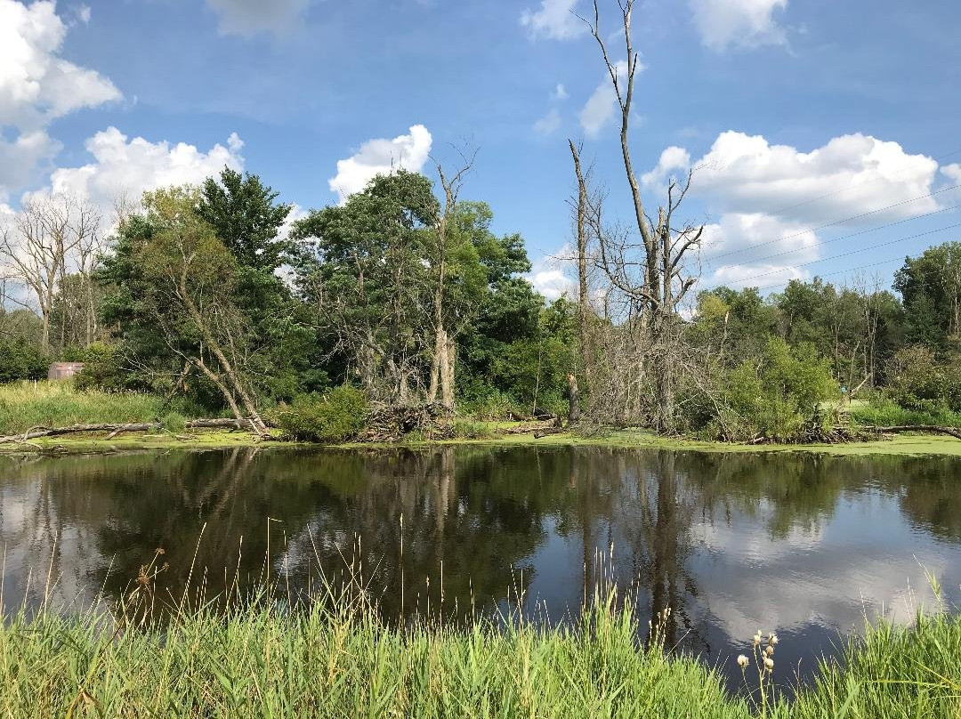 Eagle Marsh Nature Preserve景点图片