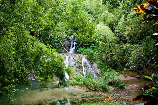 Yes Tourism Ltd-多巴哥必去景点