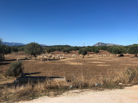 Agriturismo Bio-farm Cucche' di Patteri e Serra-Dorgali必去景点