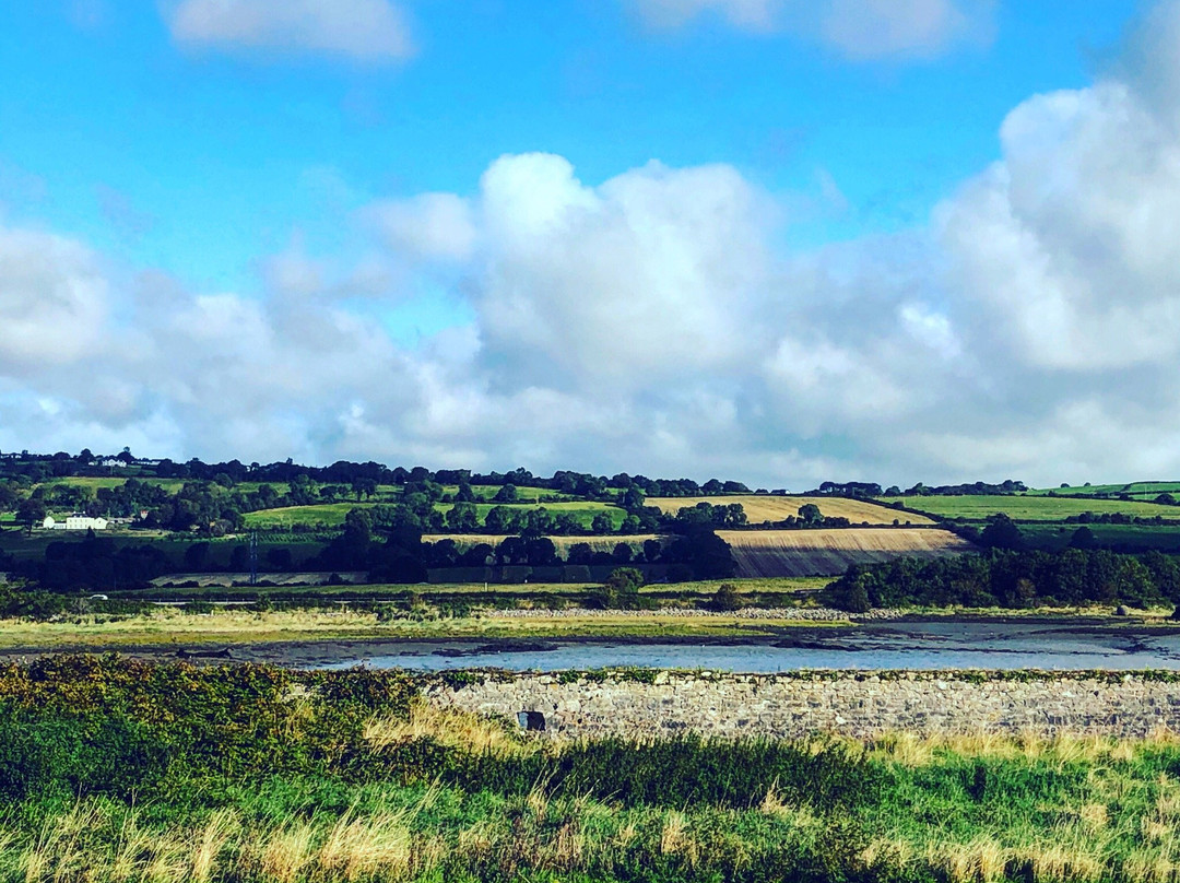 Fota Island Golf Club-Fota Island必去景点