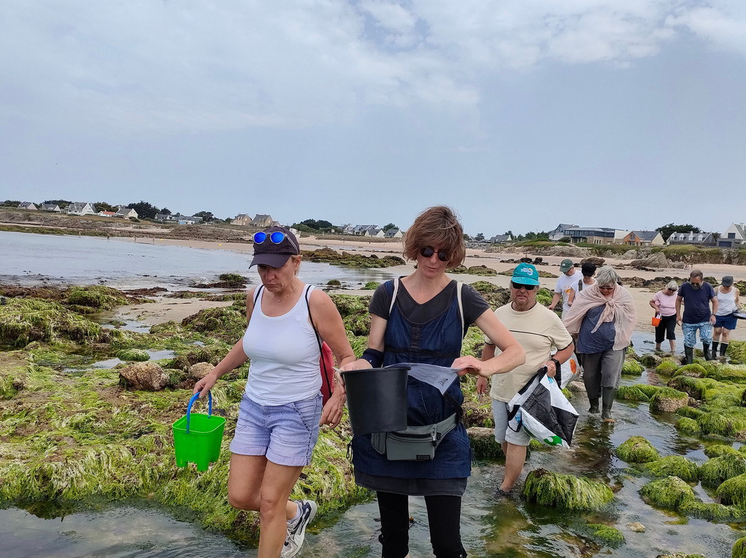 Sorties Algues Et Plantes