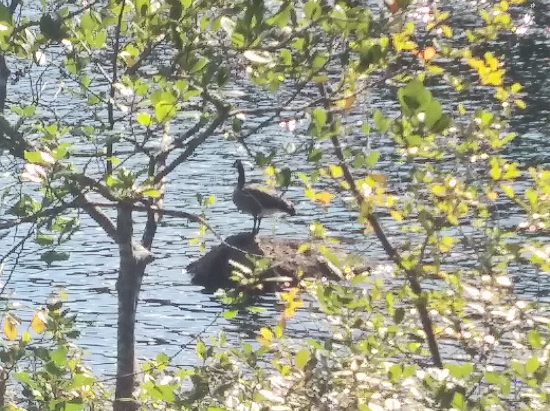 Burr Pond State Park景点图片