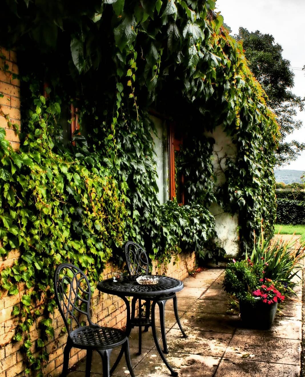 Bungalow Farmhouse B & B-官方