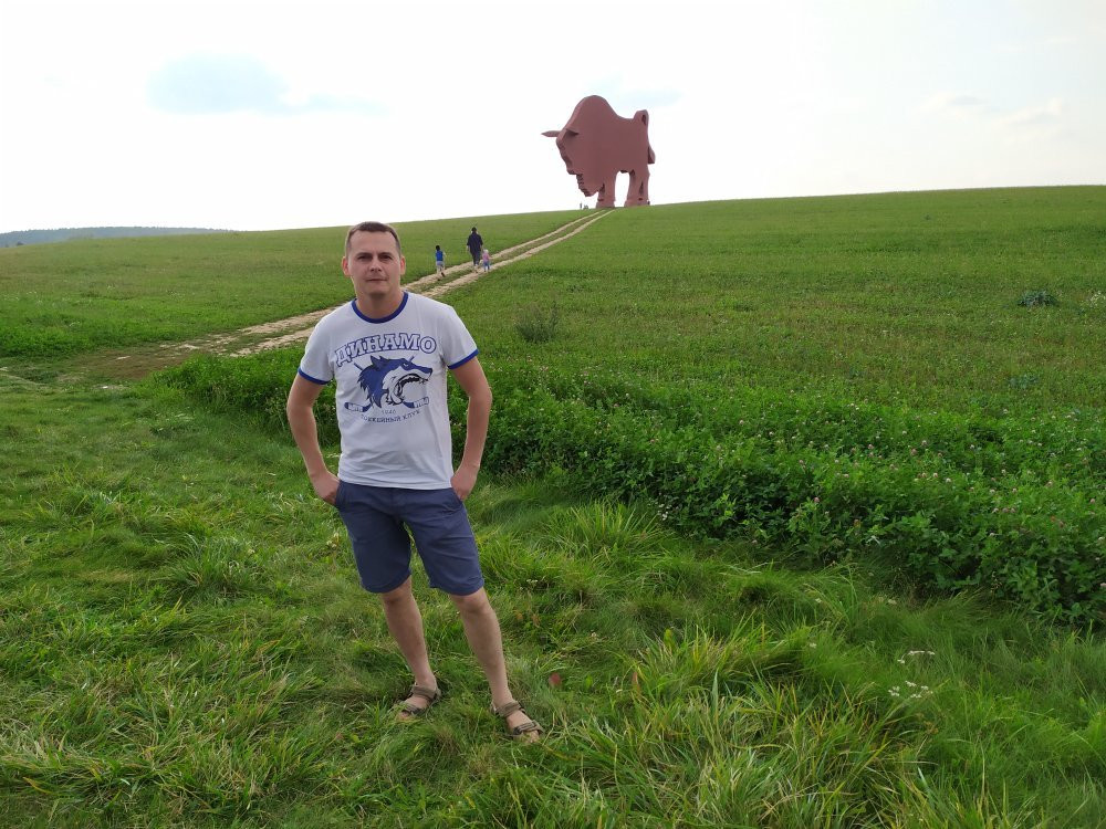 Bison on Route Brest - Minsk-布雷斯特必去景点