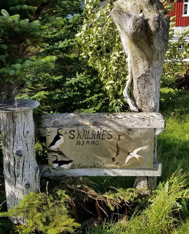 Skálanes-塞济斯菲厄泽必去景点