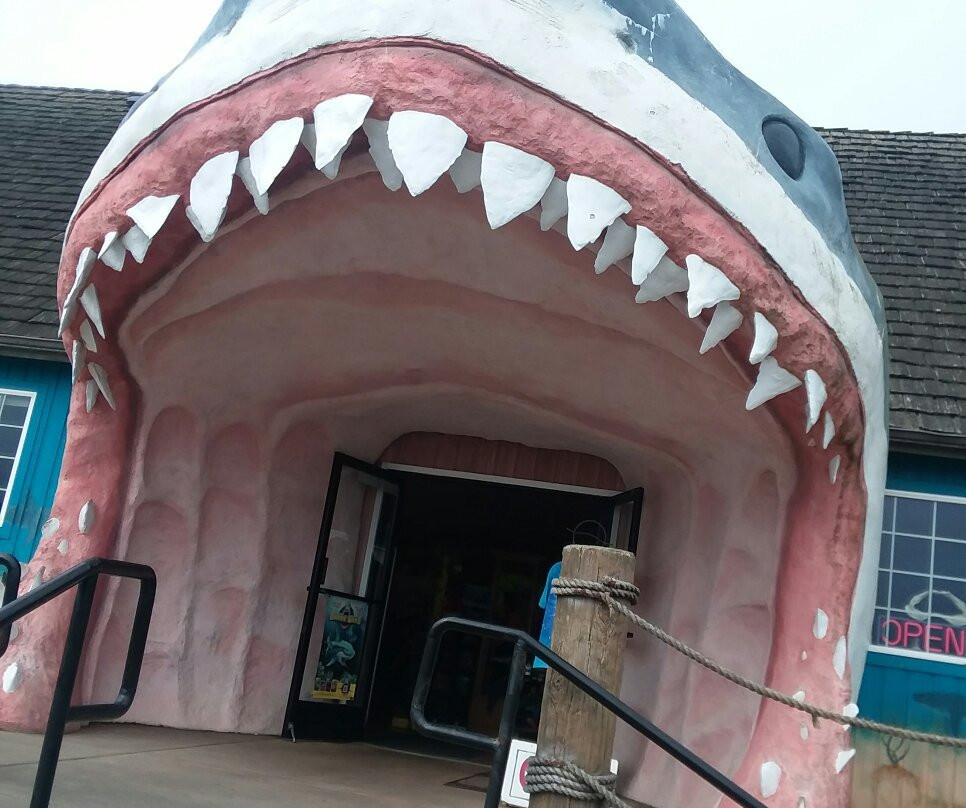 Sharky's景点图片