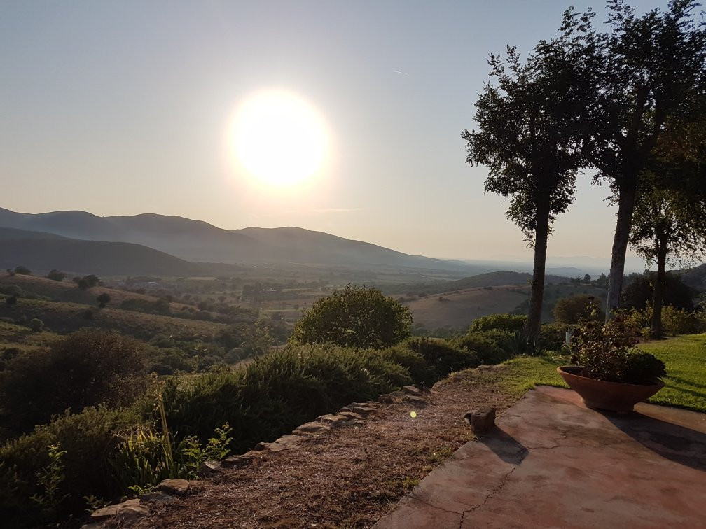 Podere Cavone - Casale Degli Ulivi主图