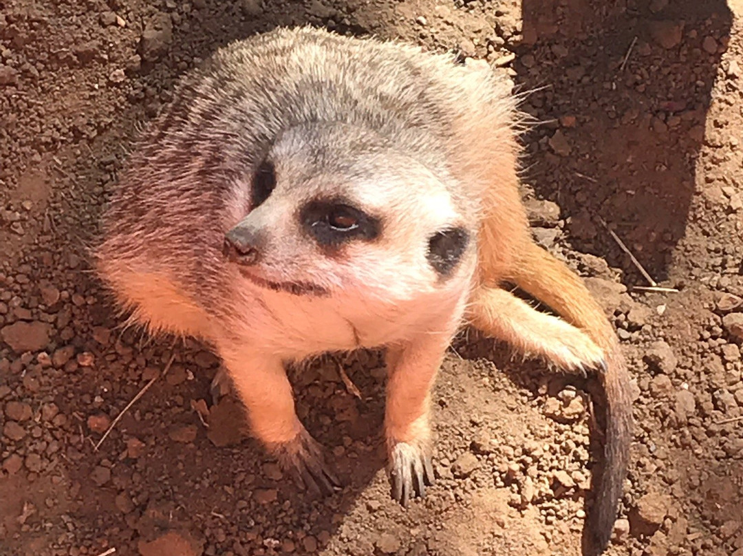 Emerald Animal World-范德毕玖帕克必去景点