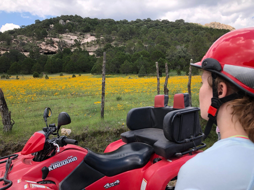 Centro Ecoturistico El Manantial-Jerez de Garcia Salinas必去景点