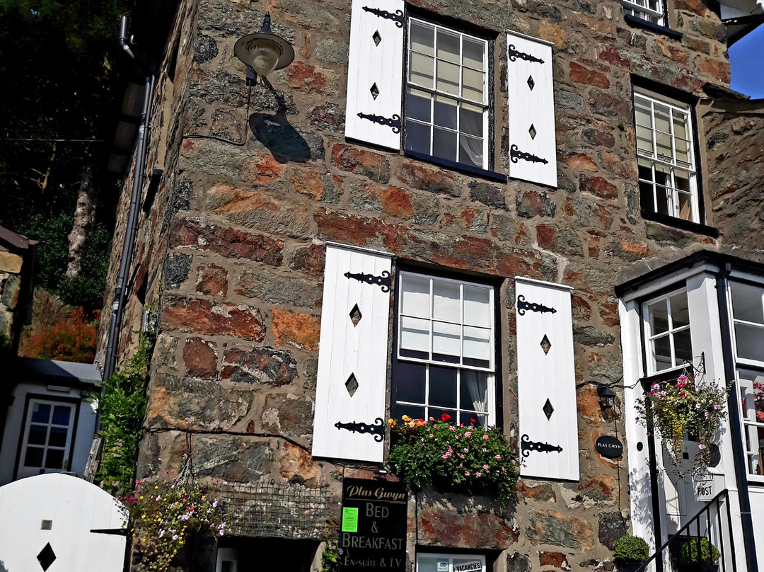 Plas Gwyn主图