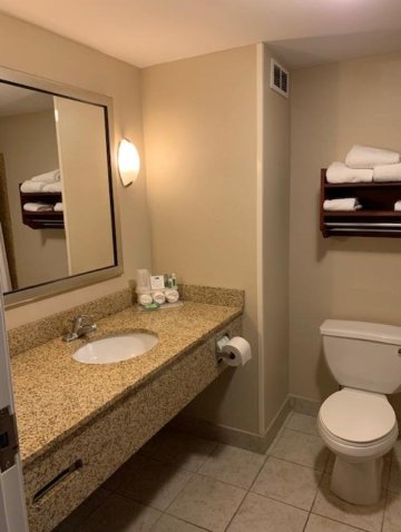 智选假日套房酒店尼亚加拉瀑布-浴室