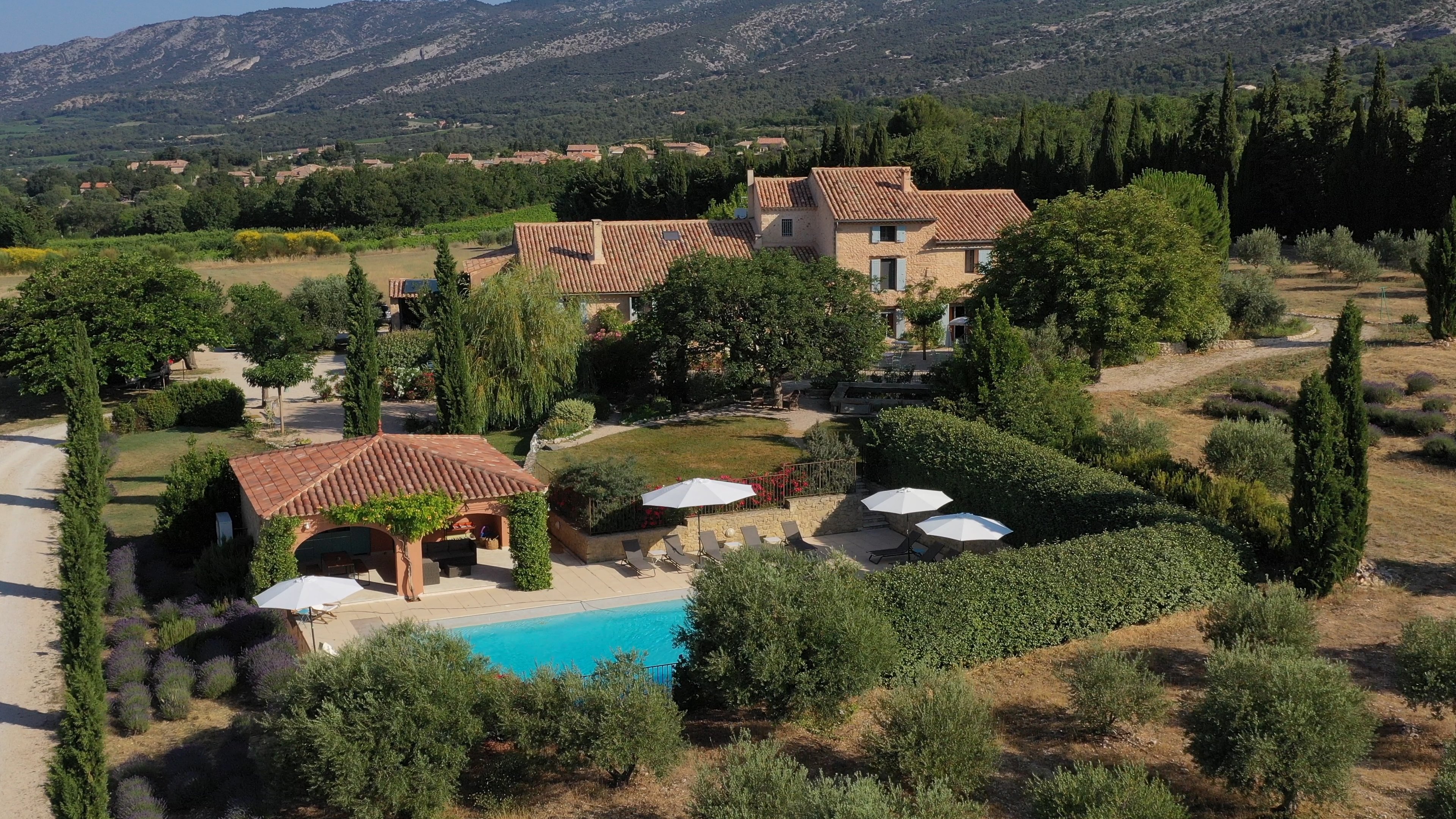 Mas des Olives-官方