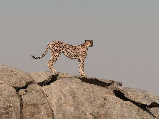 Elyon Tours - Day Tours-阿鲁沙必去景点