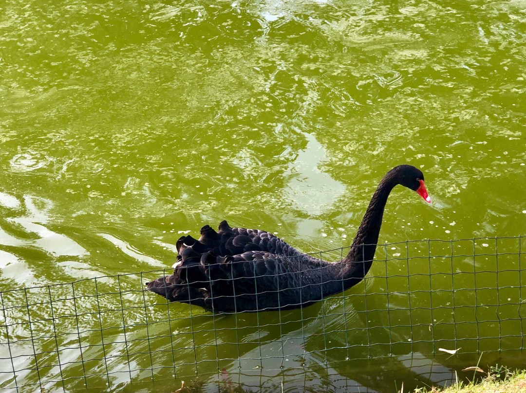 May Park景点图片