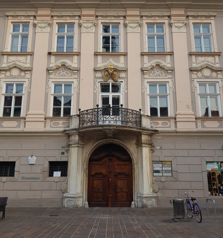 Palais Goess景点图片
