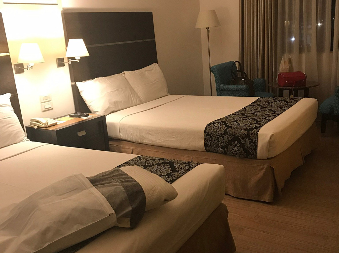 伊洛戴斯酒店主图