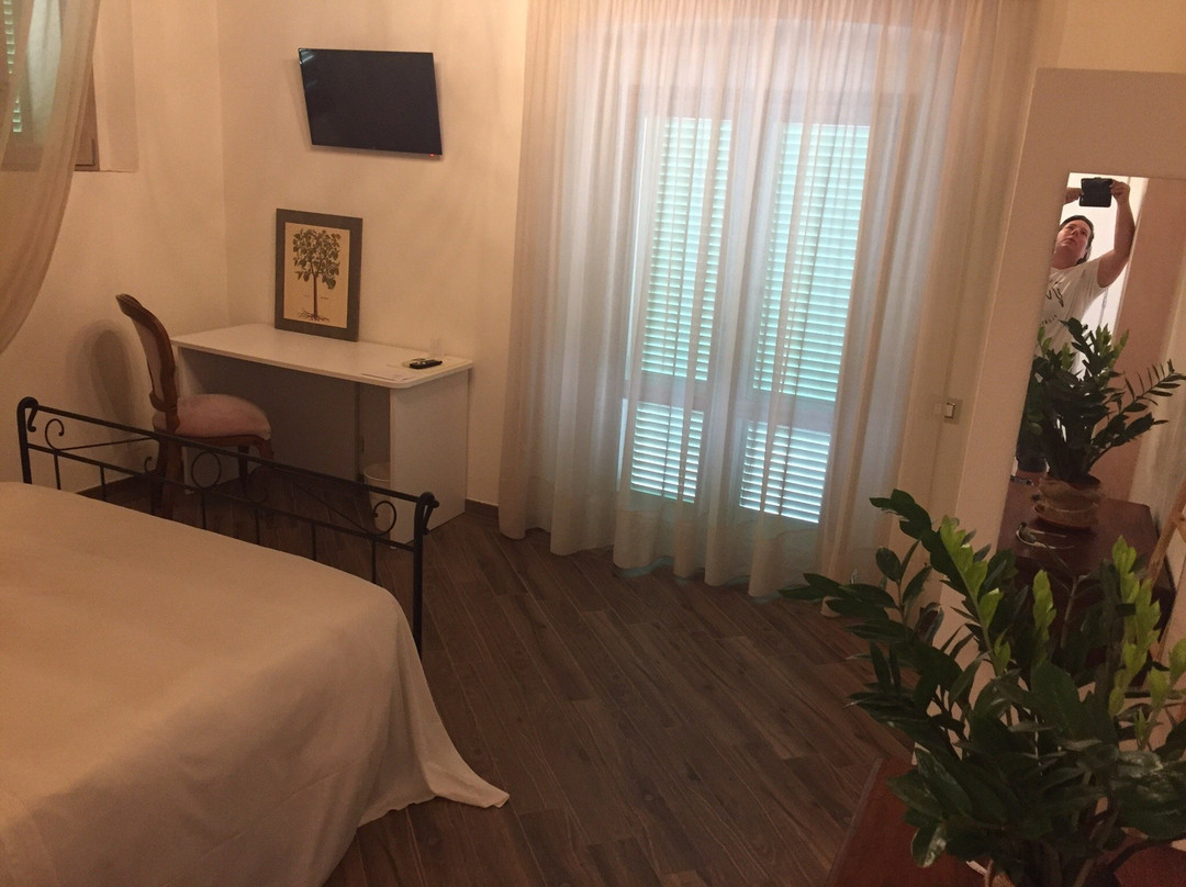 Fattoria L'Olmetto主图