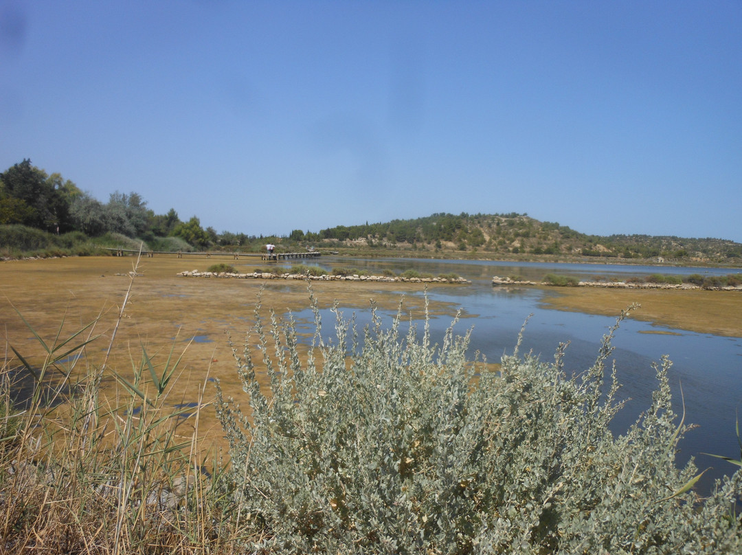 La vigneronne 1870主图