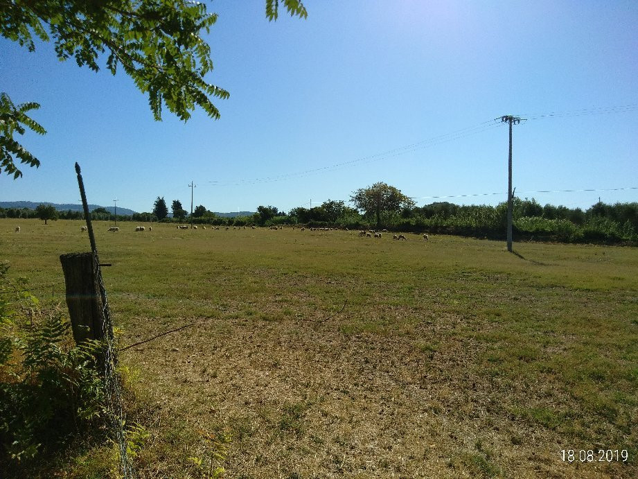 Agriturismo La Pellegrina主图