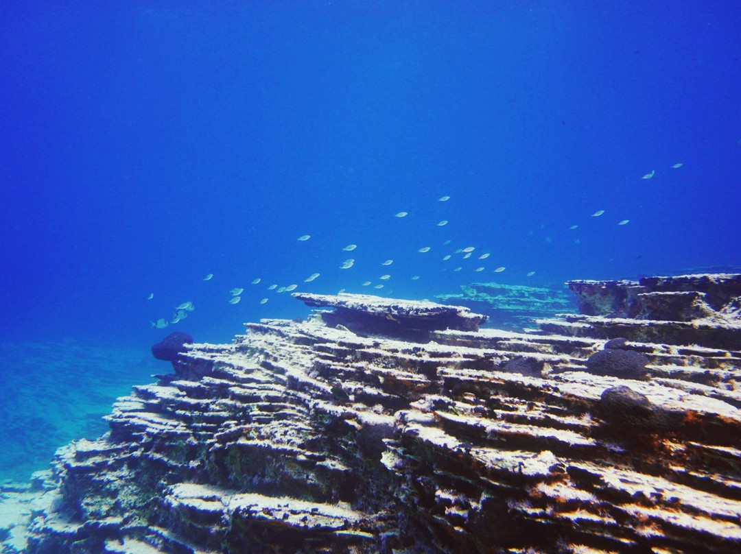 We Shall Sea Scuba Dive-Chora必去景点