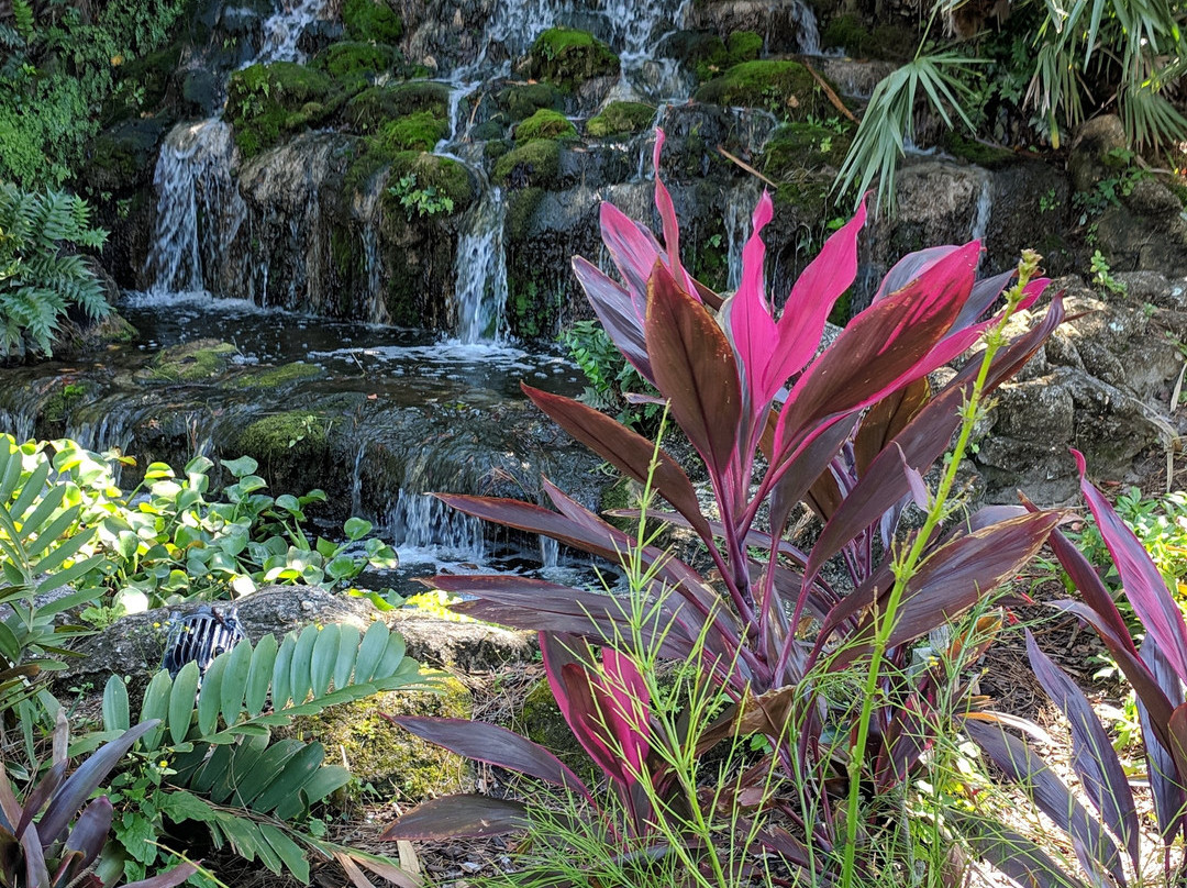 Ormond Memorial Art Museum & Gardens-奥蒙德海滩必去景点