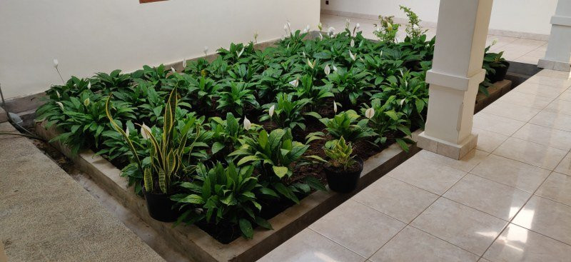 Kongregasi Santa Maria Berdukacita主图