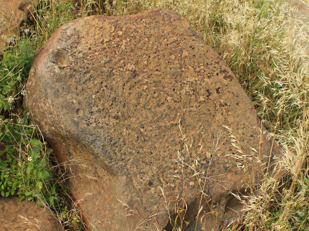 Petroglifos El Cercado de Vicente景点图片