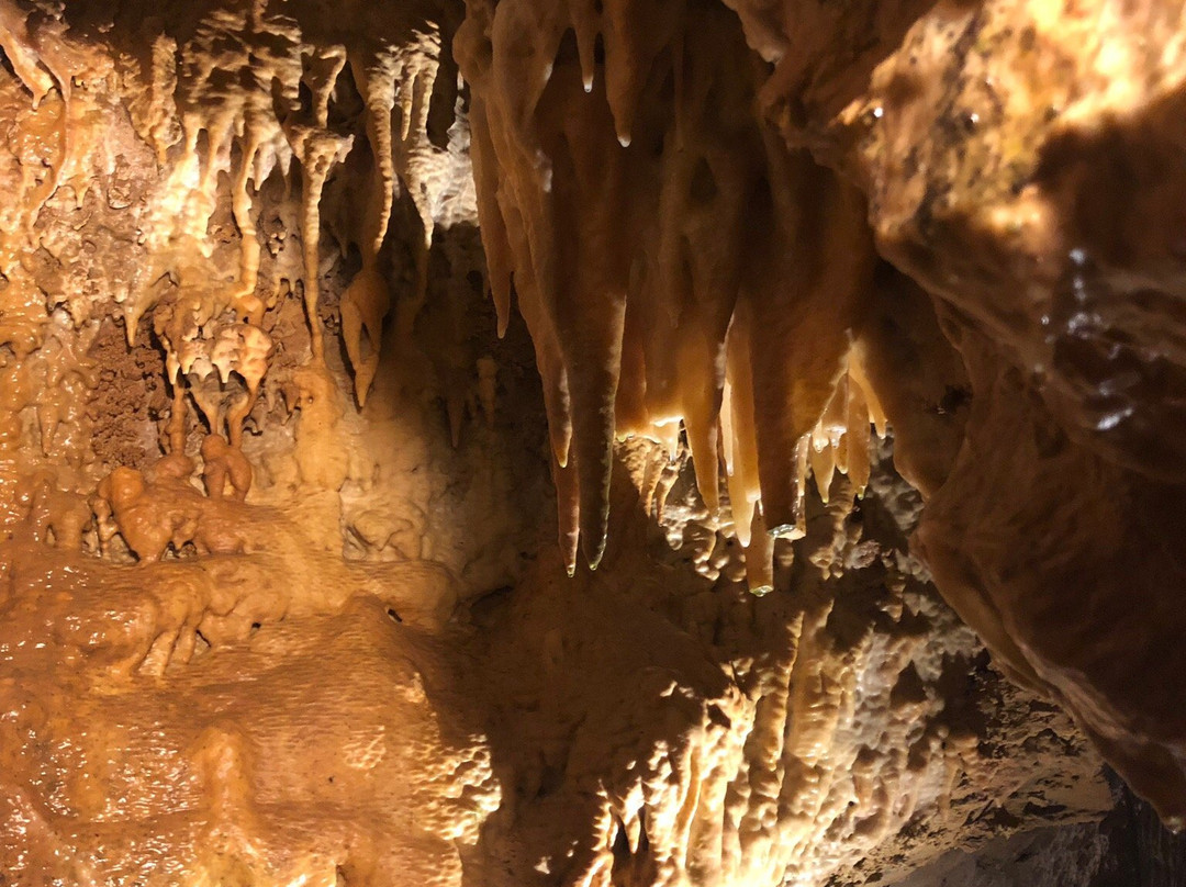 Les Grottes de Blanot景点图片